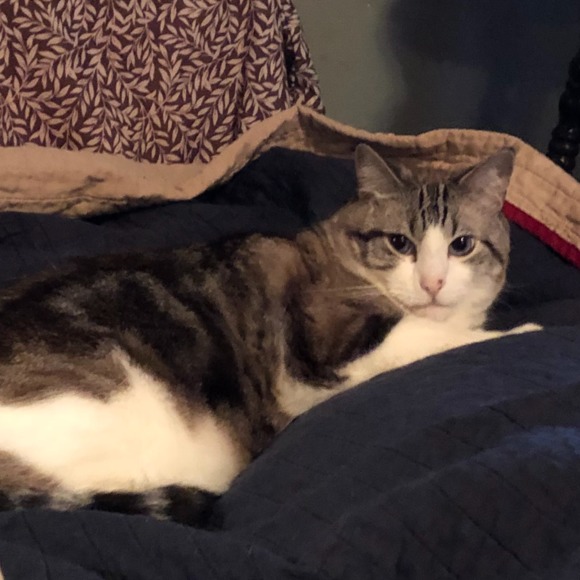 Meet your Posher, Tavion - Picture 1 of 1